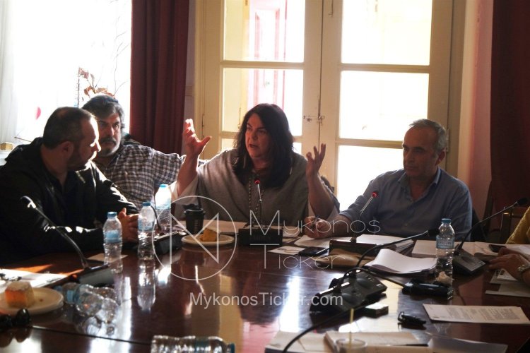 Ντίνα Σαμψούνη για Δημοτικά Τέλη: Να μπει τάξη στην πολιτικά ηθελημένη και χαριστική για κάποιους λίγους αταξία (video)