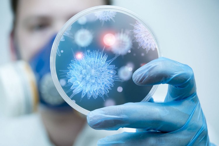 Coronavirus Pandemic: Πώς εξαλείφονται οι Πανδημίες [Τι μαθαίνουμε από αυτές]