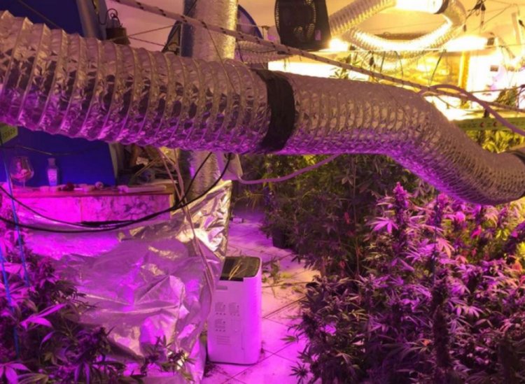 Mykonos: Εξάρθρωση κυκλώματος που «έσπρωχνε» κοκαΐνη και κάνναβη σε Μύκονο και Αθήνα