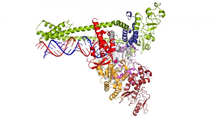 Coronavirus Disease: 202 νέα περιστατικά μόλυνσης – Τα 9 στις πύλες εισόδου, ένας νέος θάνατος