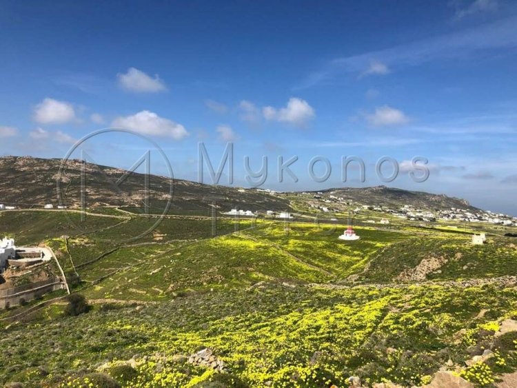 Property: Σύσκεψη για την πορεία των Δασικών Χαρτών!! Η Προθεσμία στις Κυκλάδες - Δε θα δοθεί νέα παράταση!!