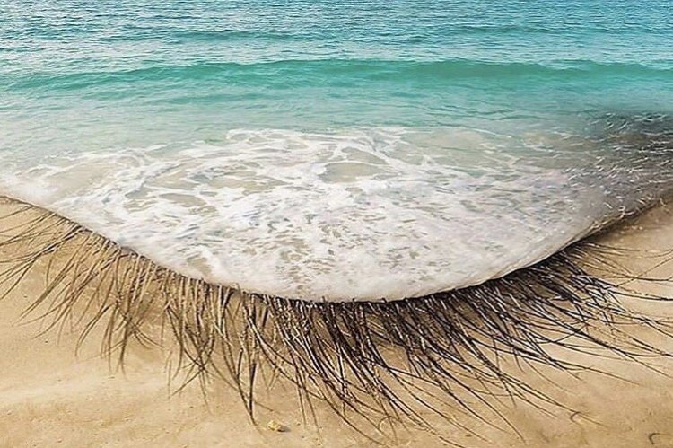 Coronavirus Pandemic: Για πρώτη φορά βρέθηκε κορωνοϊός σε νερό από παραλία!!