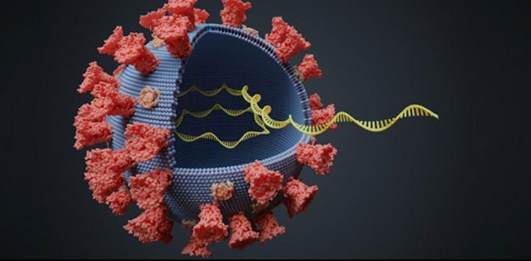 Coronavirus variants and mutations: Ποιο είναι το πιο συχνό σύμπτωμα και ποιο δεν εμφανίζεται συχνά