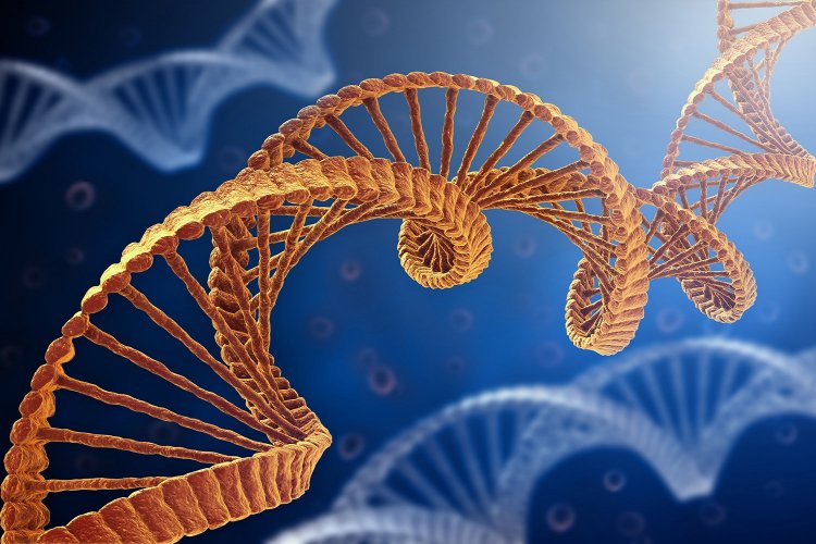 Γονιδίωμα και Γλώσσα: Βίοι παράλληλοι!! Θαυμαστές ομοιότητες του γραπτού και προφορικού λόγου με το Γονιδίωμα!!