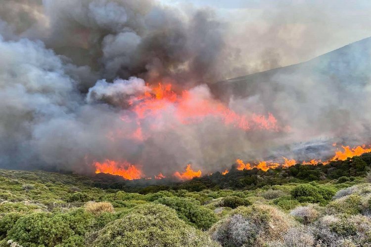 Andros: Φωτιά στην Ανδρο!! Ισχυροί άνεμοι στο νησί!! Ενισχύονται οι πυροσβεστικές δυνάμεις [Video]