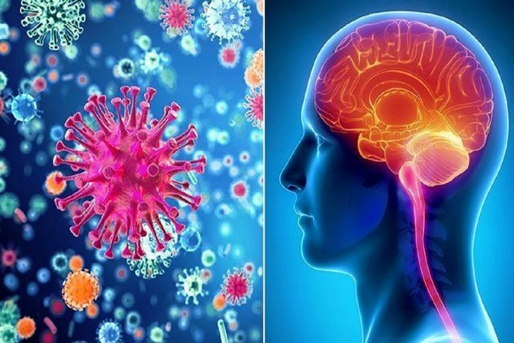 Coronavirus Disease: 3.089 νέα περιστατικά μόλυνσης, το 1 στην Μύκονο  –  809 νοσηλεύονται διασωληνωμένοι, 81 νέοι θάνατοι