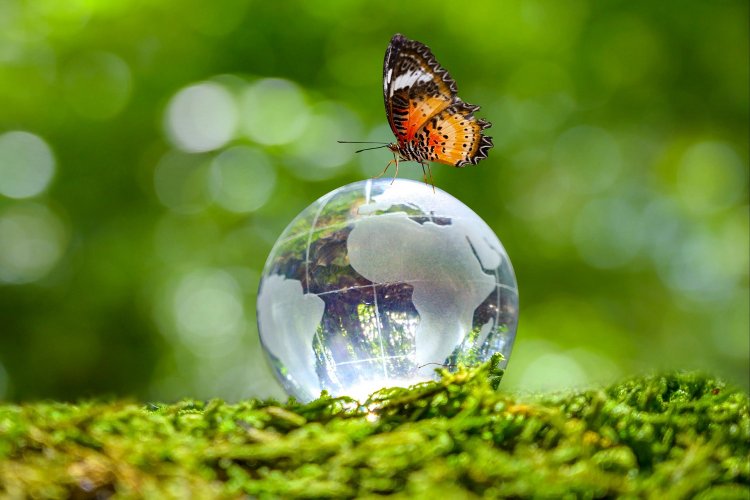 Ημέρα της Γης - Earth Day 2021 theme: "Restore Our Earth" - Επαναφορά της Γης!! [Video]