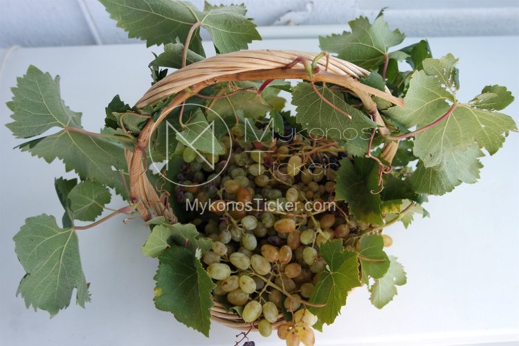 Эгейские острова: гастрономический и винный туризм - один из приоритетов Южного Эгейского региона.