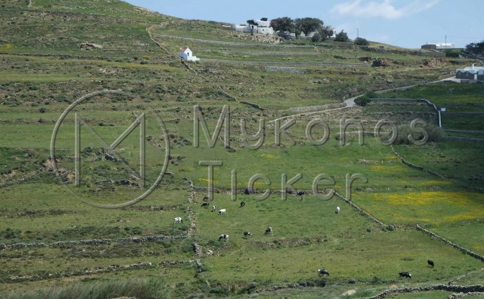 Cadastre: Ξεκινάει η έναρξη συλλογής δηλώσεων για τον τελευταίο κύκλο Κτηματογράφησης στην Μύκονο, από 5 Ιουλίου 2021 [Έγγραφο]