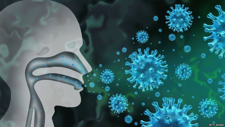Common cold combats COVID-19: Το κοινό κρυολόγημα καταπολεμά την Covid-19, ενεργοποιώντας ιντεφερόνες