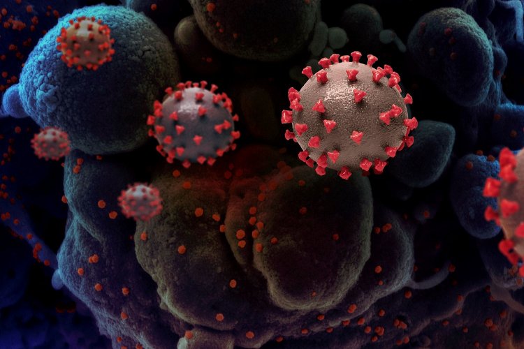 "L type" Covid-19 Variant: Η παραλλαγή Λάμδα του Κορωνοϊού στο στόχαστρο των επιστημόνων!!