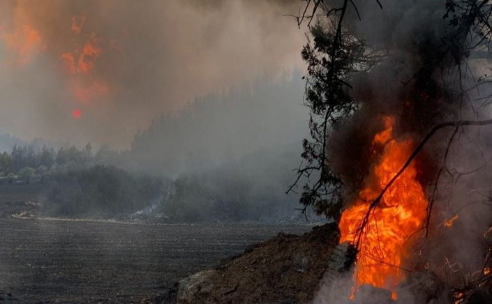Fires in Greece: Η κατάσταση με όλες τις φωτιές στην Ελλάδα, τα ενεργά μέτωπα - Η ανακοίνωση της πυροσβεστικής