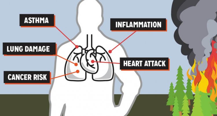 Health effects - Βασιλακόπουλος: Τι πρέπει να κάνουν όσοι νιώσουν δυσφορία με την επιβαρυμένη ατμόσφαιρα