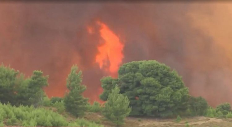 Fire in Athens: Εντολή εκκένωσης για Κρυονέρι, Αφίδνες και Κοκκινόβροχο- Μήνυμα από 112