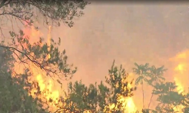 Fire in Athens: Σε πύρινη πολιορκία η Αττική - Σε εξέλιξη οι ρίψεις από εναέρια μέσα