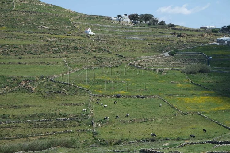 Forest Maps: Μείωση 50% στο τέλος αντίρρησης!! Πώς διαμορφώνονται οι τιμές!!