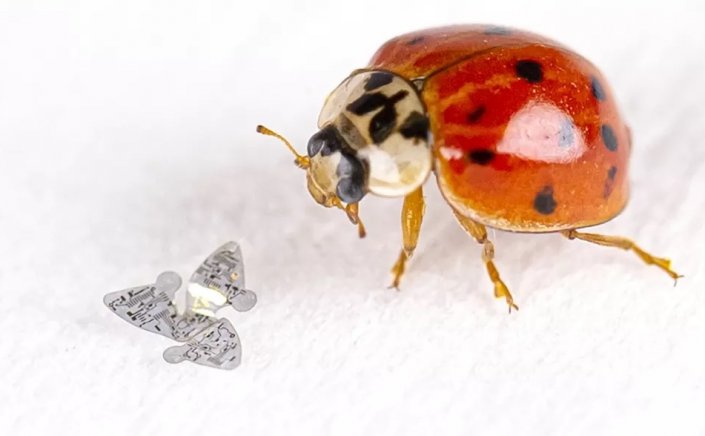 Microfliers: Ένα νέο τσιπάκι με... φτερά, εμπνευσμένα από σπόρους είναι το μικρότερο ανθρώπινο ιπτάμενο κατασκεύασμα