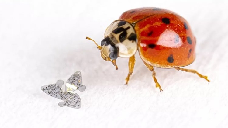 Microfliers: Ένα νέο τσιπάκι με... φτερά, εμπνευσμένα από σπόρους είναι το μικρότερο ανθρώπινο ιπτάμενο κατασκεύασμα