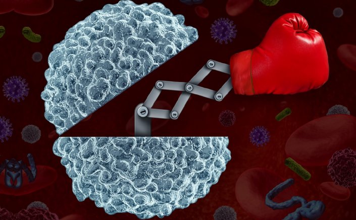 Covid & Immune system: Σημαντικό απέναντι στον Κορωνοϊό αποδεικνύεται το ισχυρό ανοσοποιητικό!! Πώς μπορούμε όμως να το ενισχύσουμε;