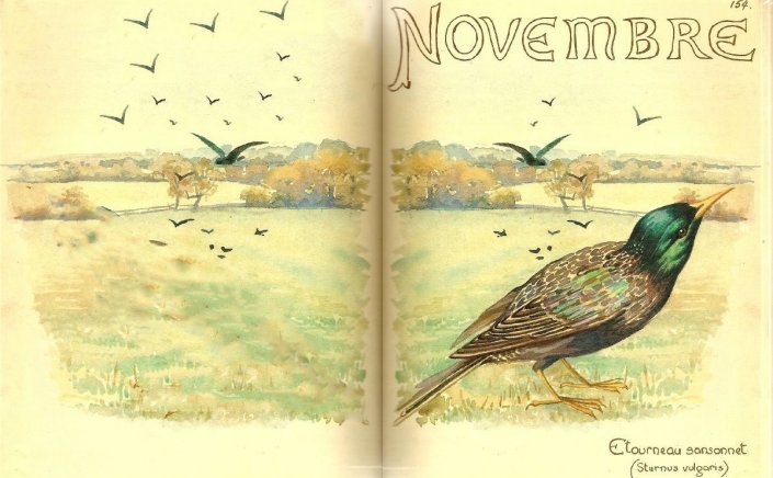 Καλό μήνα!! Νοέμβρης... τα Ονόματά του και οι Ασχολίες του!!