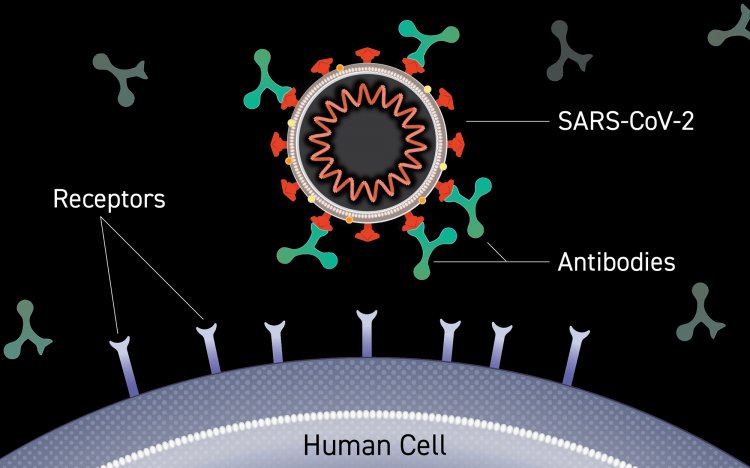 Monoclonal Antibodies: Ξεκινά η χορήγηση των μονοκλωνικών αντισωμάτων σε 10 νοσοκομεία