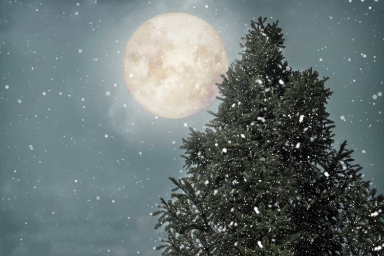 Cold Moon 2021: Η Ψυχρή Πανσέληνος του Δεκεμβρίου!! Πώς να δείτε την τελευταία Πανσέληνο του 2021 [Video]