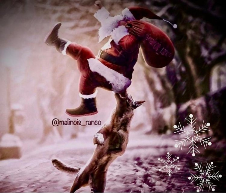 Joyeuses Fêtes! Ευχές από τα στελέχη του Γραφείου Ασφαλείας - Δίωξης Ναρκωτικών του Λ/Χ Μυκόνου