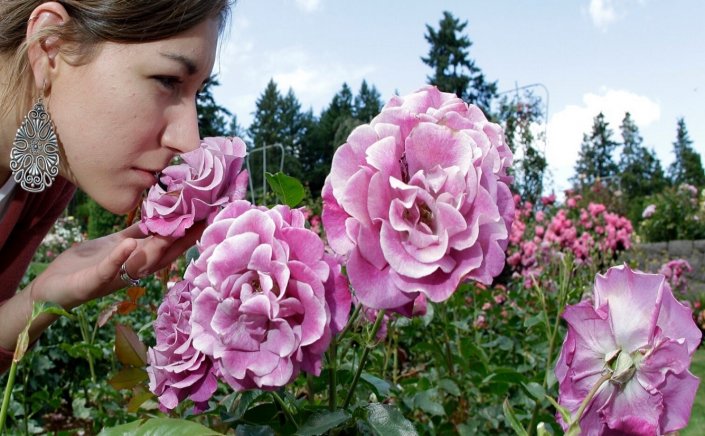 Improve Your Performance: Μπορεί η “σωστή” οσμή να μας κάνει πιο παραγωγικούς;
