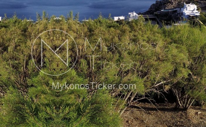 Forest Maps: Μπαράζ ενστάσεων στους δασικούς χάρτες, των Κυκλάδων!! Η υψηλή αξία της γης φαίνεται να είναι το κίνητρο!!