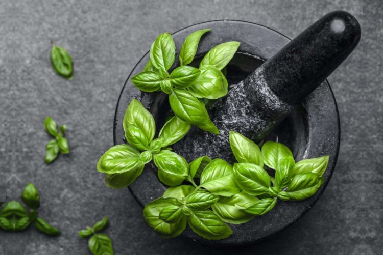 Ο ΕΦΕΤ ανακαλεί άρον – άρον ως μη ασφαλές, το σύνολο των παρτίδων, αυτής τη μάρκας, αποξηραμένου βασιλικού!!