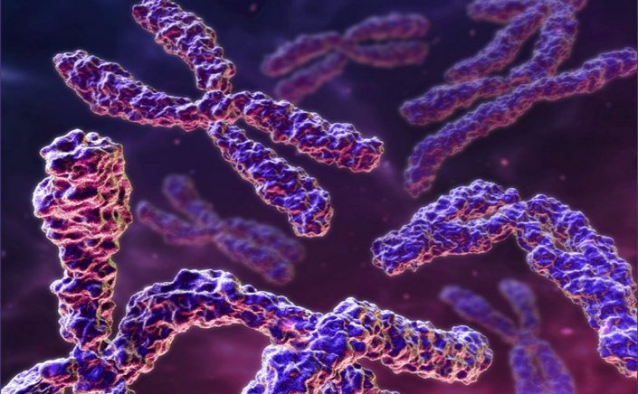 Y chromosome: Το αρσενικό χρωμόσωμα Y εξαφανίζεται αργά!! Αυτό καθορίζει το φύλο!!