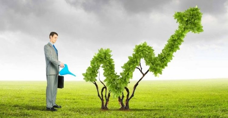 Green Jobs of the Future: Ποια είναι τα νέα «πράσινα» επαγγέλματα του μέλλοντος