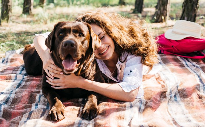 Does Dog Breed Affect Behavior? Κι όμως, τελικά η ράτσα των σκύλων δεν είναι αυτό που καθορίζει τη συμπεριφορά τους!!