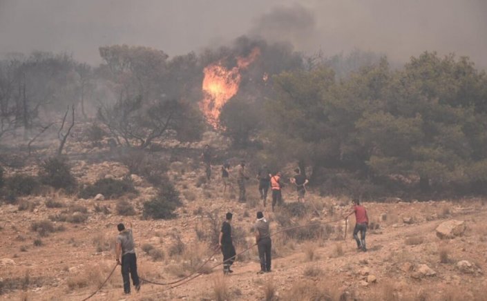 Forest Fire Prevention: Σχέδιο AntiNero II για τον καθαρισμό 65.000 στρεμμάτων δασικών εκτάσεων