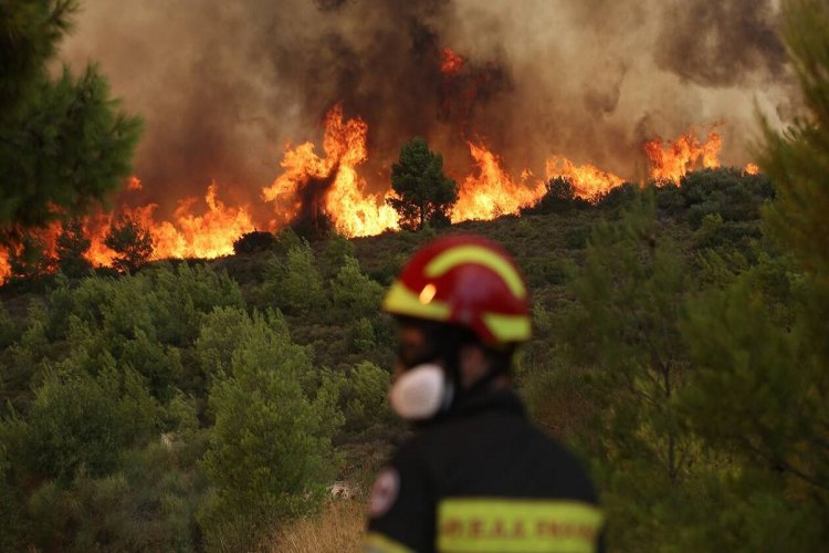 Wildfire in Rhodes: Δύσκολη η κατάσταση στη Ρόδο!! Έχει αλλάξει φορά ο αέρας,  η φωτιά καίει παρθένο δάσος σε τρία σημεία!! Εκκενώνονται 3 οικισμοί & 1 ξενοδοχείο!!