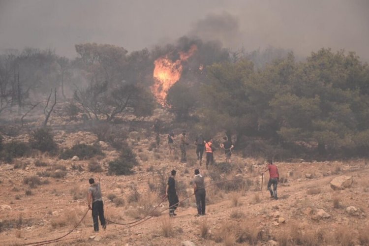 Forest Fire Prevention: Σχέδιο AntiNero II για τον καθαρισμό 65.000 στρεμμάτων δασικών εκτάσεων