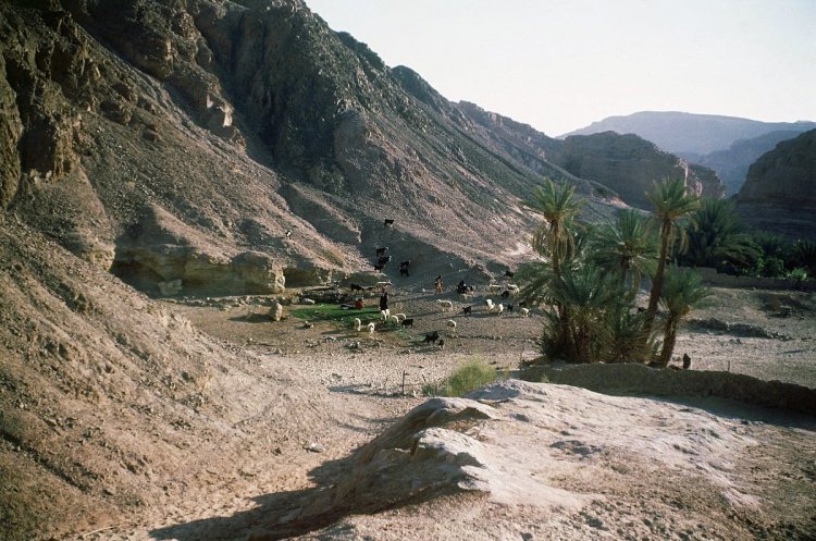 Gaza's Turbulent History: Το σχέδιο του 1950 για την «Μεγάλη Γάζα» στο Σινά - Οι μυστικές συναντήσεις και ο ρόλος των ΗΠΑ