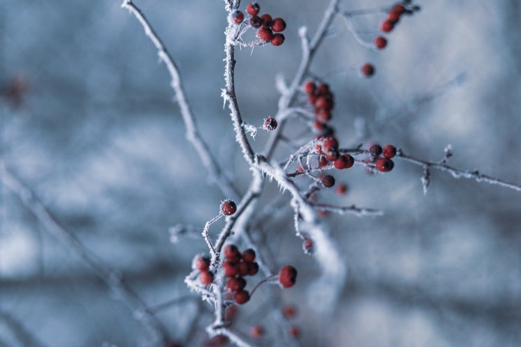 Annual Weather: Επιβεβαιώνουν την ψυχρή εισβολή Μαρτίου τα Μερομήνια 2024 - Πότε θα χιονίσει