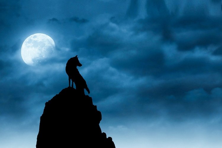Moon of the Wolf: Πανσέληνος Ιανουαρίου 2024!! Απόψε  «Η εκρηκτική Πανσέληνος στον Λέοντα»  - Γιατί ονομάζεται έτσι