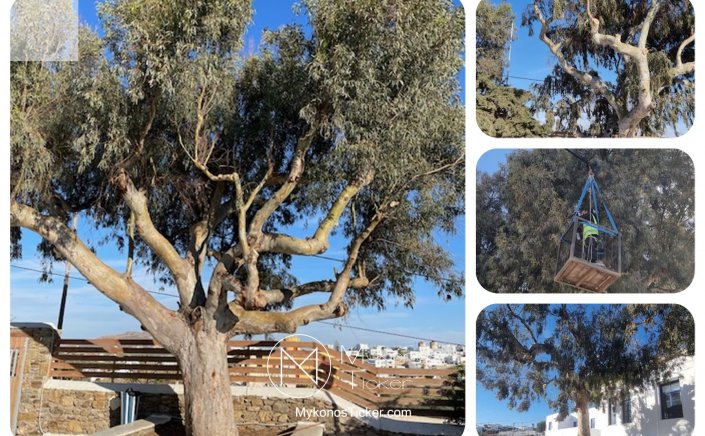 DME Marsoula Chanioti: Με γνώμονα  την ασφαλή και απρόσκοπτη λειτουργία των σχολικών μας μονάδων, θα συνεχίσουμε το έργο μας [Εικόνες]