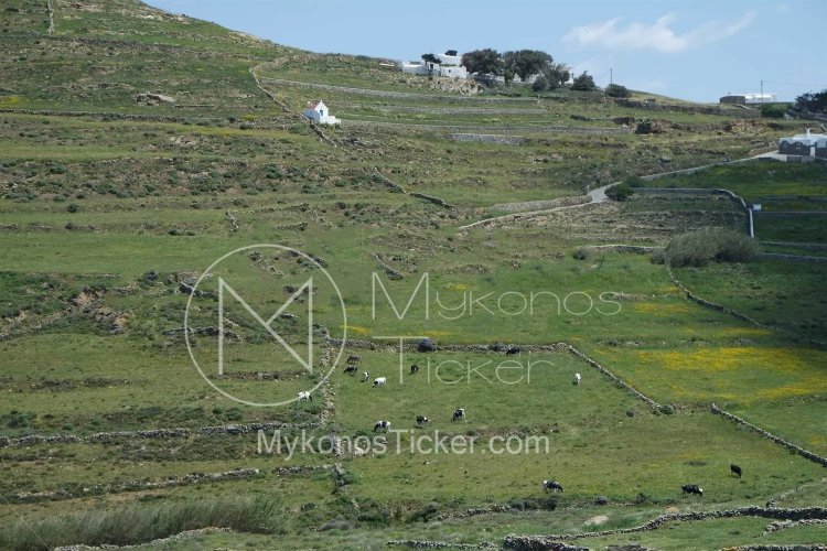 Forest Maps: Στους Δασικούς Χάρτες  τα πρόδηλα σφάλματα θα εξετάζονται κατά προτεραιότητα