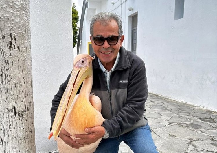 Dep Mayor Koutsoukos: Να εξαλείψουμε κάθε προσπάθεια αρνητικής δημοσιότητας για το νησί μας - Συνεχίζω ακάθεκτος το έργο που έχω αναλάβει