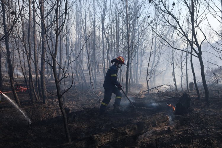 Political Development: Στις φλόγες το πολιτικό σύστημα