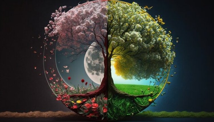 Spring Equinox 2023: Εαρινή Ισημερία, Μπήκε και επίσημα σήμερα η άνοιξη - Πότε θα βρίσκεται στο ζενίθ της