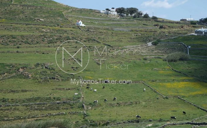 Changes to Inheritance Tax: Τι αλλάζει σε φόρους κληρονομιάς ακινήτων, χρέη και μεταγραφές στα Κτηματολογικά Γραφεία!! Οι νέες διατάξεις!!