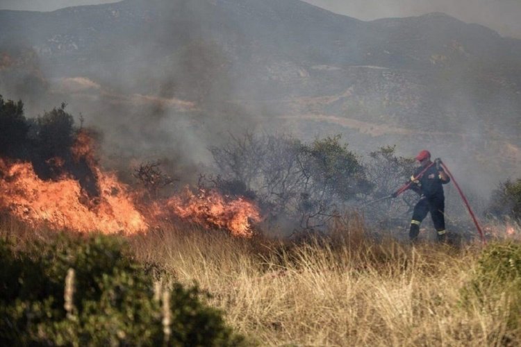 Gross plots of land: «Πύρινος τρόμος» τα ακαθάριστα οικόπεδα!! Πάνω από 3.500 καταγγελίες σε 18 ημέρες, μόλις 160 οι έλεγχοι - Ποια έχουν προτεραιότητα, ποιος ο ρόλος των Δήμων!!