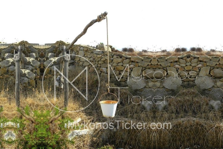 Gross plots of land: Ακαθάριστα οικόπεδα!! Ποιοι έχουν υποχρέωση συντήρησης!!