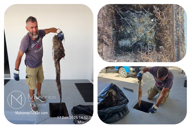 ΔΕΥΑ Μυκόνου: Προγραμματισμένες εργασίες ριζόκοψης σε φρεάτια και αγωγούς απoχέτευσηs στο 1ο Δημοτικό σχολείο στην Λάκκα [Εικόνες]