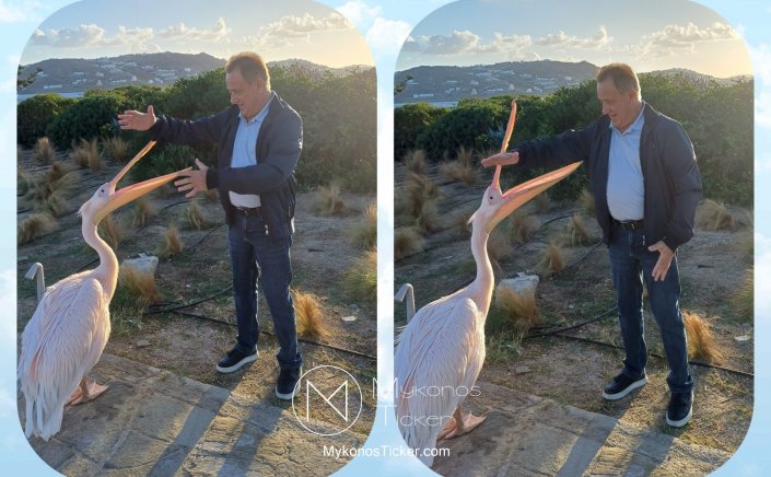 Xpήστos Bεpώvηs: Η μέριμνα και η προστασία για τα ζώα δεν είναι μόνο πράξη αγάπης, αλλά δείκτης πολιτισμού και ουσιαστικής ευθύνης όλων μας