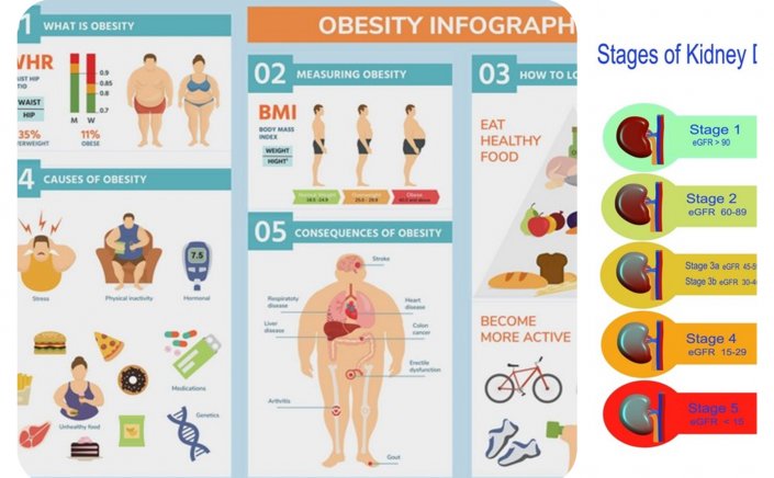 Public Health - Free Screening: Πώς θα λάβεις δωρεάν θεραπεία για Παχυσαρκία & Νεφρά